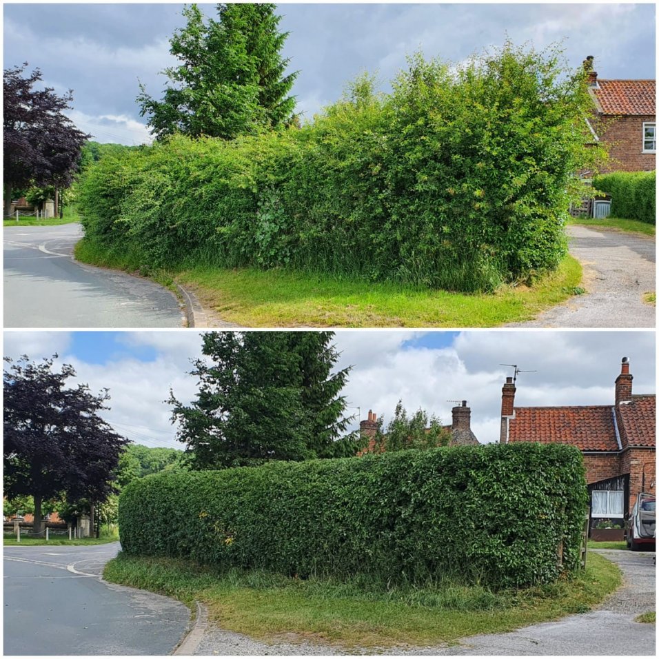 Hedge cutting services a little about Ayrshire Gardening Co